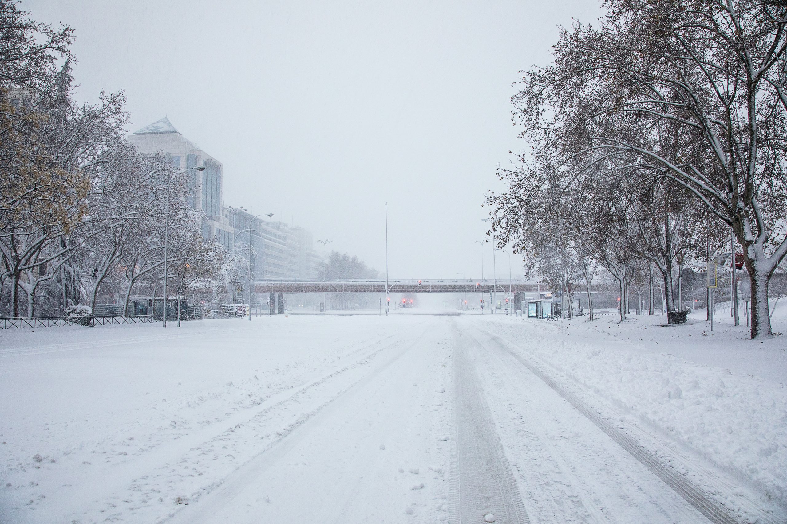 Białystok. Zakaz wjazdu ciężarówek z powodu śnieżycy