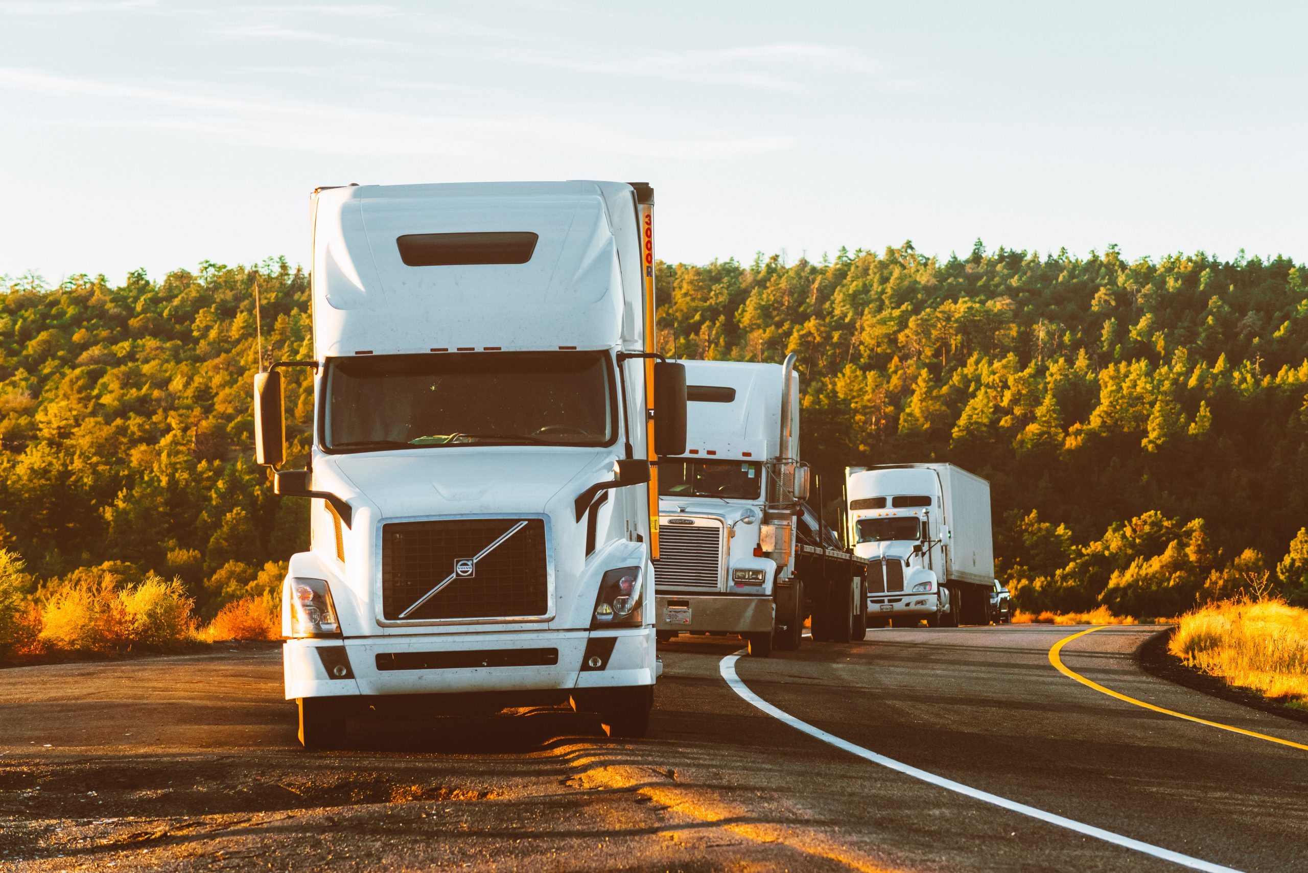 Zloty truckerów w 2021 roku – gdzie warto się wybrać?